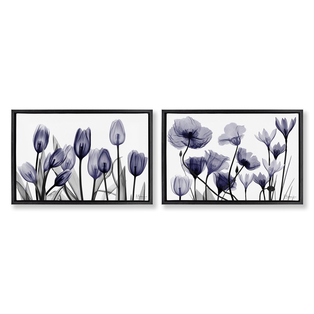 Stupell Industries Dusk Delight Blue Flowers 2pc Floating Frame Set By Albert Koetsier